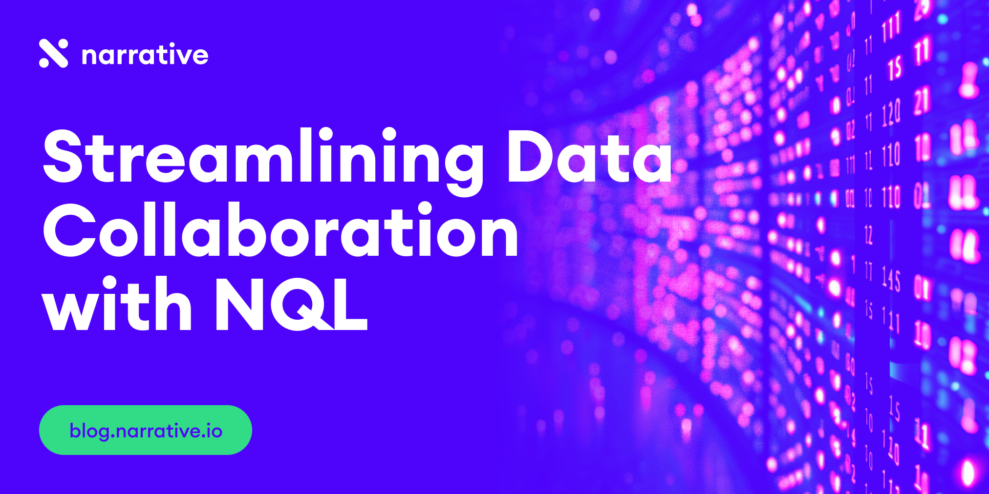 Streamlining Data Collaboration with NQL: Commingling Standardized and Raw Data
